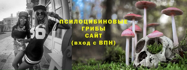 соль курить ск Ладушкин