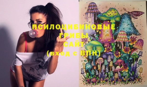 молекула духа Лагань